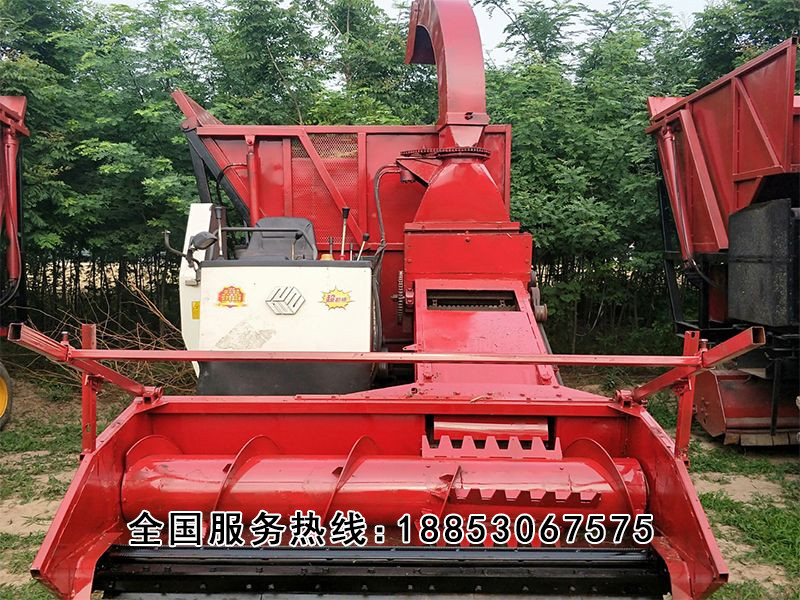 地滚dao式