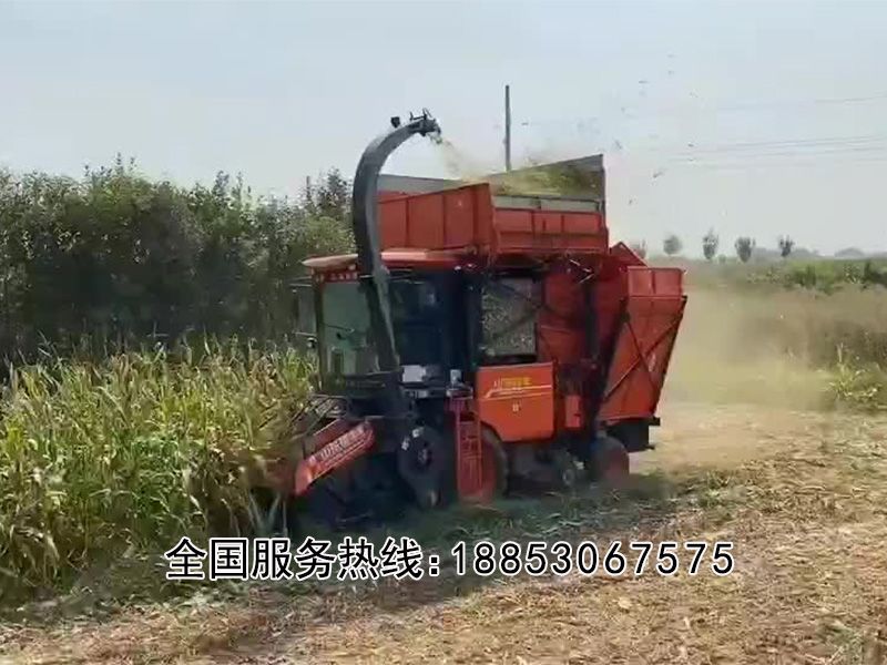 玉米茎穗兼收机视频展示